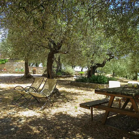 Casa de Férias La Collina Fiorita By Interhome Sant'Apollinare