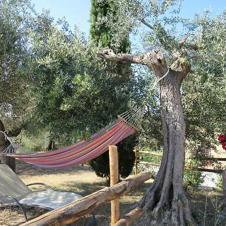 La Collina Fiorita By Interhome *